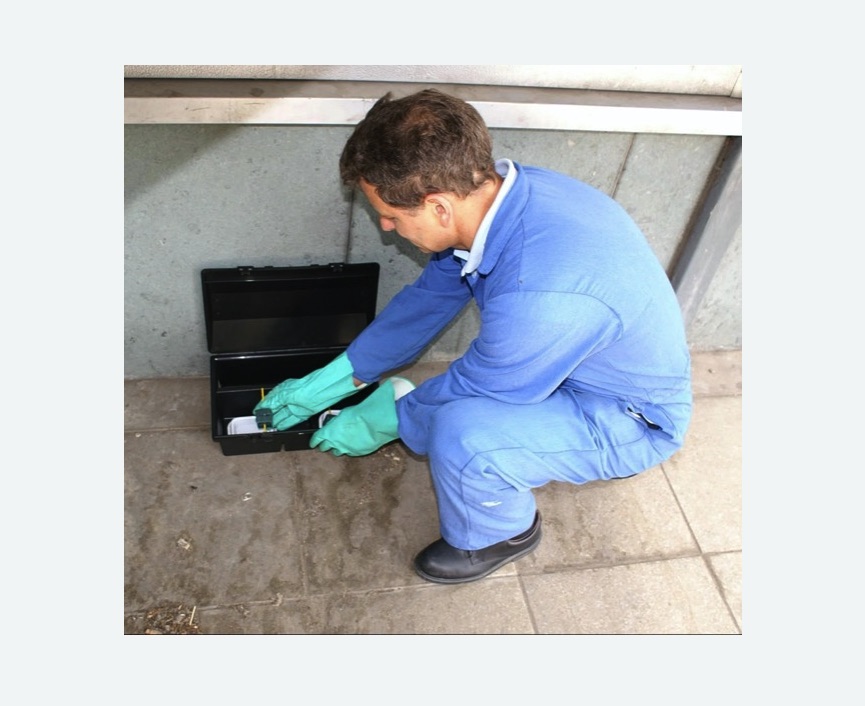 Уничтожение мышей в Скопине Уничтожение мышей