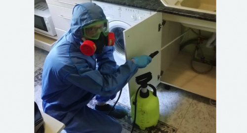 Уничтожение муравьев в квартире. Скопин