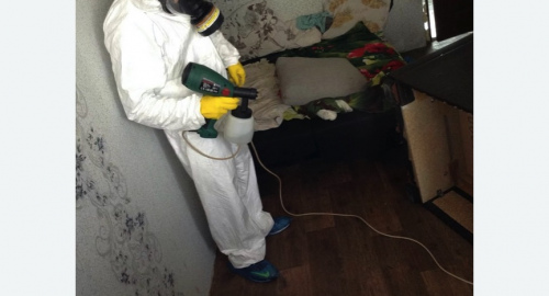 Обработка квартир от насекомых в Скопине