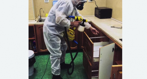 Дезинсекция квартиры. Скопин