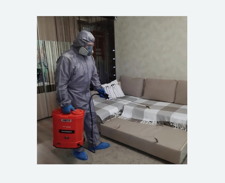 Обработка квартиры от блох в Скопине Обработка квартиры от блох