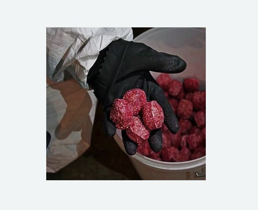 Обработка от крыс в Скопине