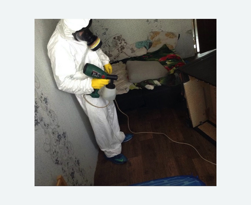 Обработка от насекомых в Скопине Обработка квартиры от насекомых
