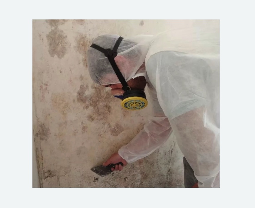 Обработка стен от плесени в Скопине
