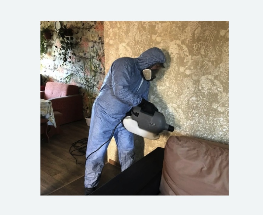 Уничтожение блох в квартире. Скопин Уничтожение блох в квартире