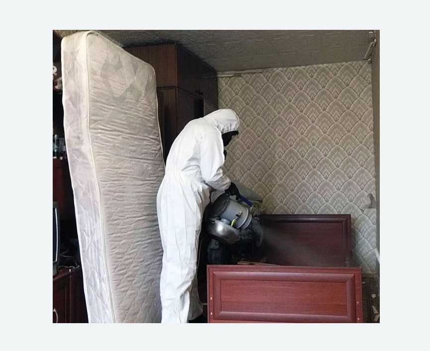 дезинфекция от клопов дезинфекция от клопов в Скопине