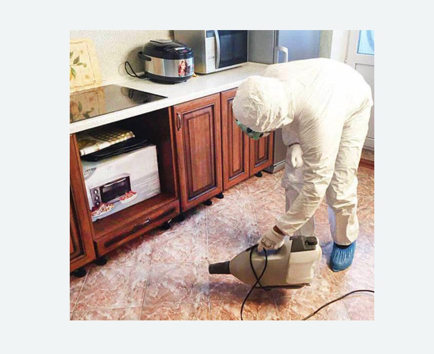 обработка квартиры от клопов в Скопине обработка квартиры от клопов