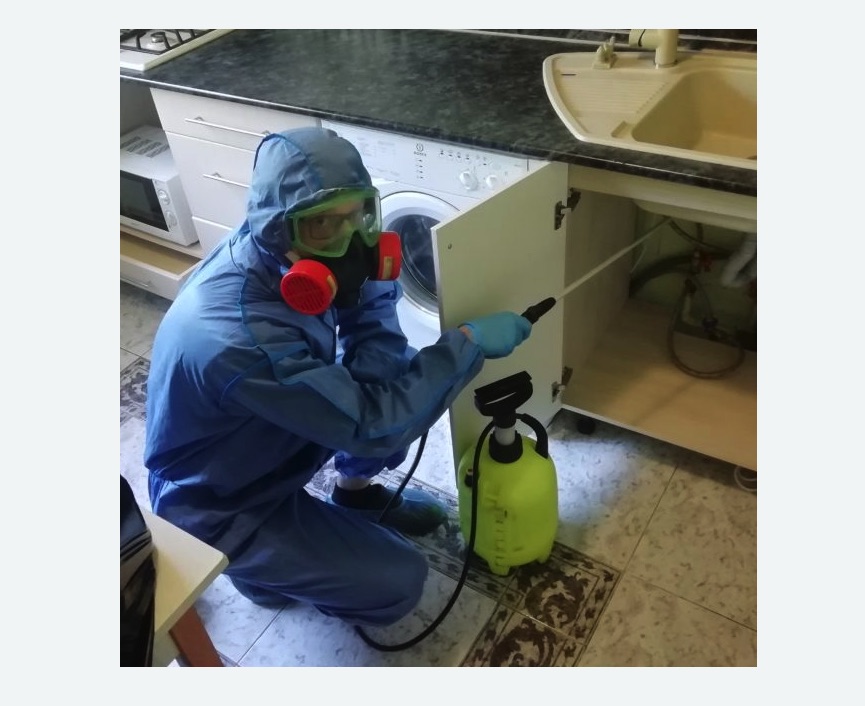 обработка от муравьев в квартире обработка от муравьев в квартире в Скопине