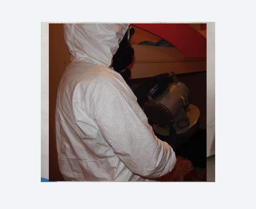 Дезинфекция от муравьев Дезинфекция от муравьев в Скопине