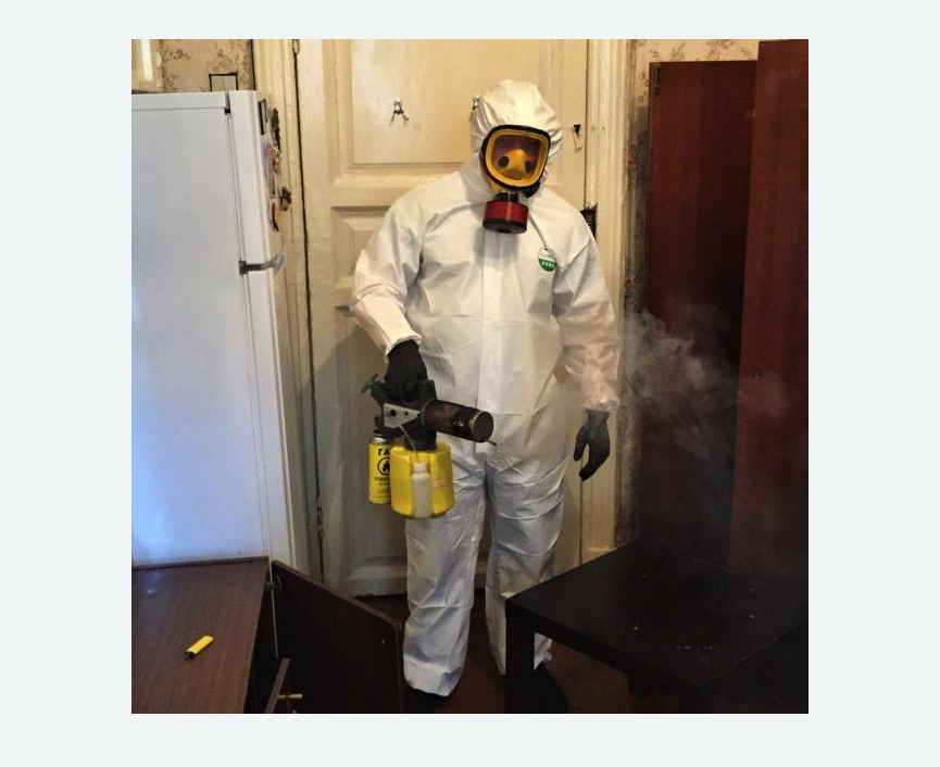 уничтожение муравьев в квартире уничтожение муравьев в квартире в Скопине